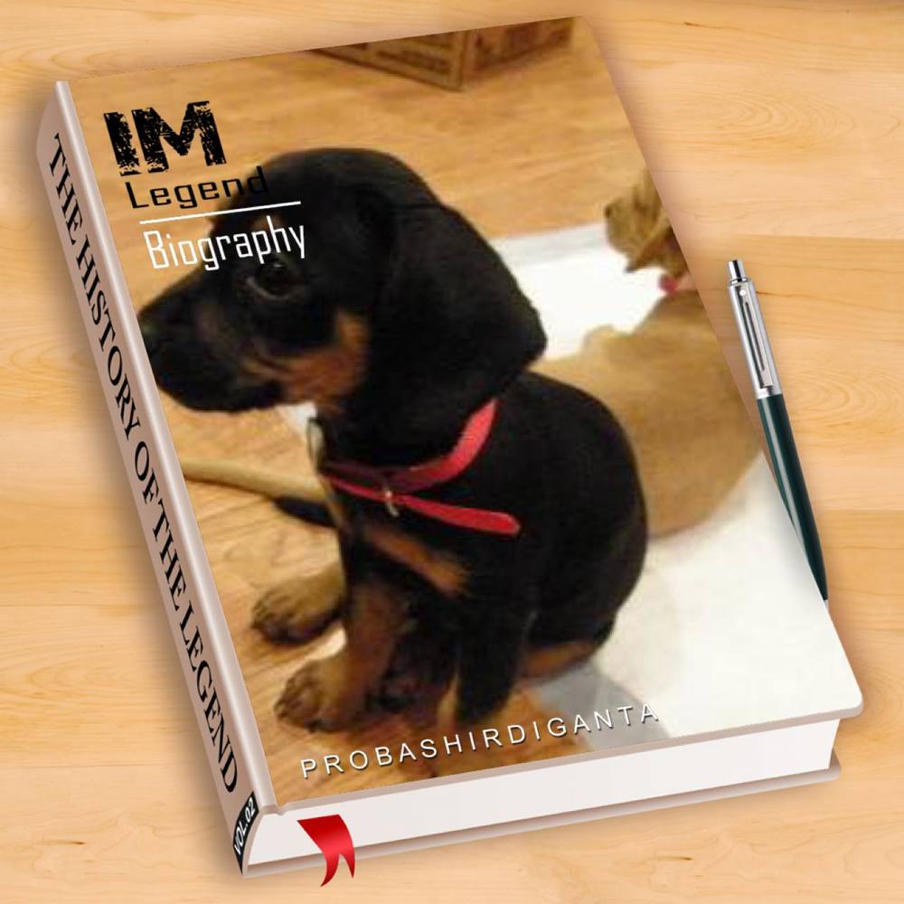 Meet your Posher, Carmen